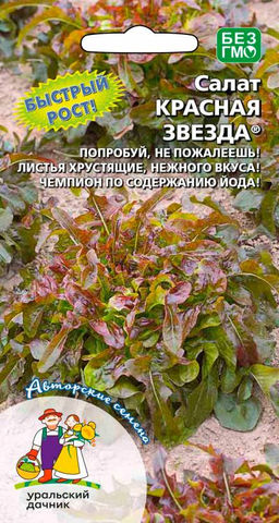 Салат КРАСНАЯ ЗВЕЗДА  Быстрый рост! Нежный вкус! Чемпион по содержанию йода! Попробуй, очень вкусно!