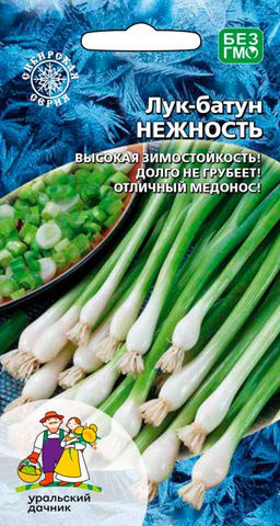 Лук батун НЕЖНОСТЬ  Высокая зимостойкость! Долго не грубеет! Отличный медонос!