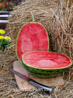 Арбуз Эксперт - Партнер фото 3