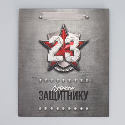 Цена за 2 шт. Пакет подарочный ламинированный, упаковка, «С 23 февраля», ML 23×27×11.5 см