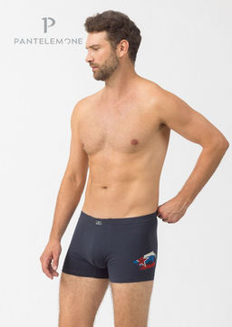 Мужские трусы-шорты PMH-1353 Темно-серый - Pantelemone фото 3