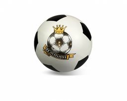 Мяч резиновый РОССИЯ 200мм. (Р2-200) "Чемпион"