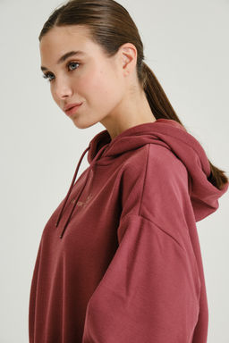 Худи утепленное Красный ICONIC Sweat Hoodie