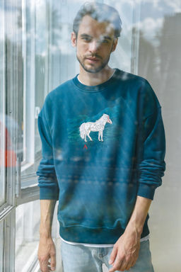 Свитшот Altai Horse мужской - Captain's mate фото 2