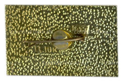 Значок Домик Каширина