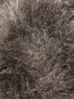 ботинки
								BELWEST  фото 6