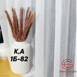 Тюль для гостинной со шторной лентой 6 см