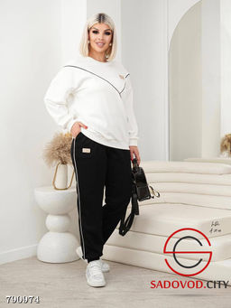 Женский брючный костюм двойка