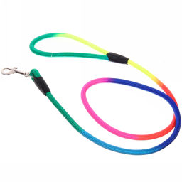 Цена за 3 шт. Поводок нейлоновый с карабином "Бро на прогулке", мульти цвет, 1.2метра