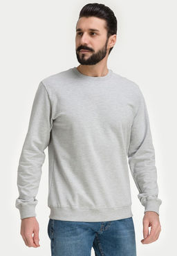 Свитшот мужской GREG G121-OZ02-28 (св.серый м.)