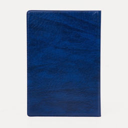 Цена за 2 шт. Обложка для паспорта, искусственная кожа, золотистое тиснение, синяя