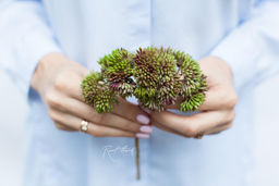 7e2d9fa87c2bd658c9a96c246e12d5713vujt3s249m4l85na4