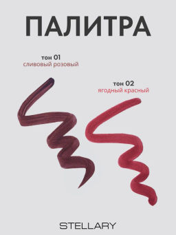 Stellary Стойкий карандаш-помада для губ Wild Chic collection тон 02  фото 6