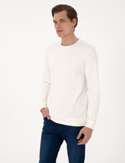 Ekru 3 _plik Regular Fit Bisiklet Yaka Basic Sweatshirt