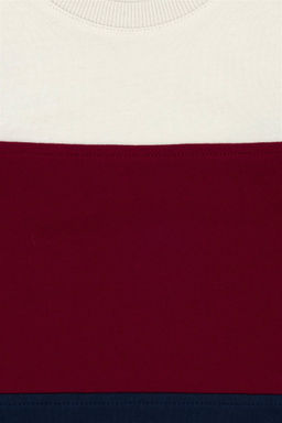 U. S. Polo Assn / Детский темно-синий свитшот с круглым вырезом - U.s. polo assn фото 3