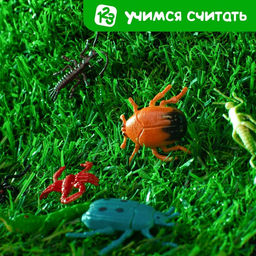 Развивающий набор Умные букашки: резиновые фигурки, полянка, по методике Монтессори - Iq-zabiaka фото 7