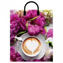 Пакет подарочный ПЭ с пластмассовыми ручками 38х45+3см "Паула", 90 мкм (Россия)