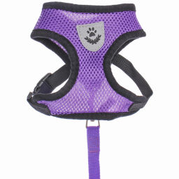 Цена за 2 шт. Шлейка с поводком 118см "Sweet puppy" размер S, цвет фиолетовый