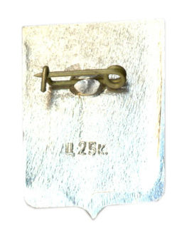 Значок Боровичи