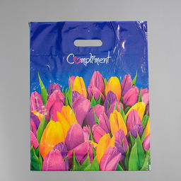 Цена за 50 шт. Пакет Комплимент, полиэтиленовый с вырубной ручкой, 60 мкм 38?47 см