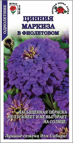 Цинния Маркиза в Фиолетовом 0,3г (Золотая сотка Алтая)