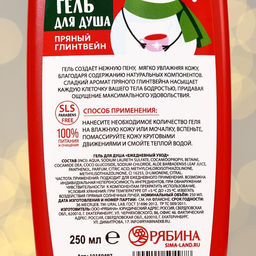 Winter Melody, гель для душа, 250 мл, пряный глинтвейн - URAL LAB фото 3