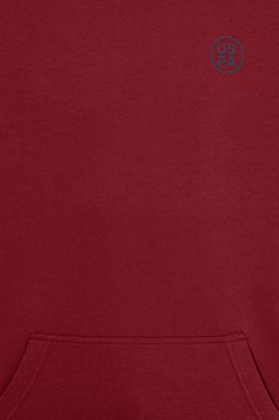 U. S. Polo Assn Мужская толстовка оверсайз с капюшоном вишневого цвета - U.s. polo assn фото 6