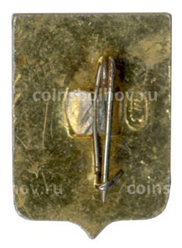 Значок Владимир