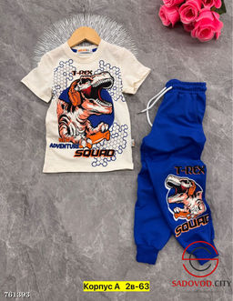 Костюм спортивный двойка