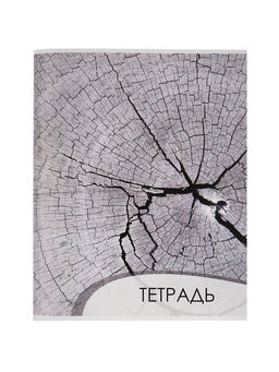 Тетрадь 96 листов в клетку Calligrata Текстура 2, обложка мелованный картон, блок офсет, МИКС  фото 7