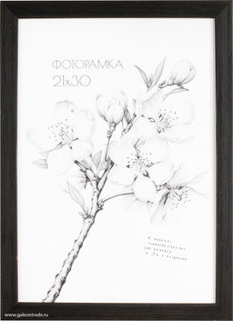 Фоторамка 21х30 с акриловым стеклом / 2004D-012C /уп10 ф - ГалеонТрейд фото 3