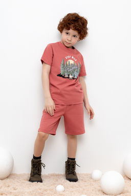 КР 400604/пыльный кедр к428, шорты