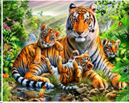 Алмазная мозаика на подрамнике 40x50 Тигры / YSH0029 /уп 30/полное заполнение - Галеонтрейд фото 2