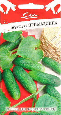 Огурец Примадонна F1 10шт. (НК)