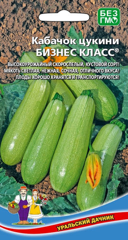 Кабачок БИЗНЕС КЛАСС  Высокоурожайный скороспелый кустовой сорт! Мякоть светлая, нежная, сочная, отличного вкуса! Плоды хорошо хранятся и транспортируются!