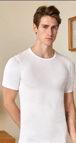 Мужская футболка Berrak 1038