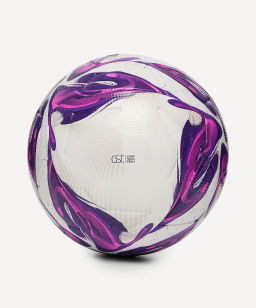 Мяч футбольный JOGEL Triumph Elite WSL №5  фото 3