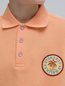 Pelican BFTP4321/1 футболка для мальчиков  фото 3