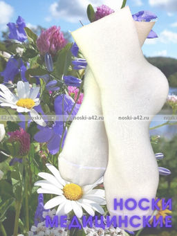 Цена за 10 пар. Ростекс (Рус-текс) женские Н-21-Жн с лайкрой 23-25  фото 16