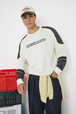 Teen Ekru Yeni Oversize/Genis Kesim Yaz? Nak?sl? Renk Bloklu Sweatshirt TMNAW26SW00005