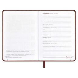 Ежедневник датированный 2024 ESCALADA, А6+, 176 л., арт. 63787/ 20 САРИФ КОРИЧНЕВЫЙ  фото 5