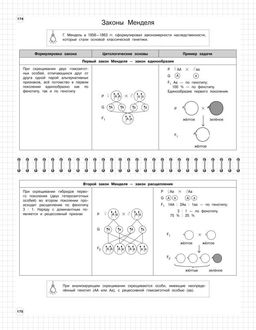 Биология: 5-11 классы