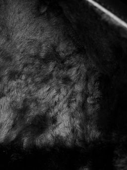 ботинки
								BELWEST  фото 6