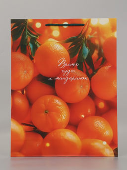 Пакет подарочный «Время чудес и мандаринок», 33×10×42.5 см