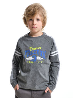 Лонгслив с принтом UD 4125 графит