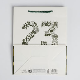 Цена за 2 шт. Пакет подарочный ламинированный, упаковка, 23 февраля, MS 18?23?10 см