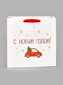 Цена за 2 шт. Пакет подарочный ламинированный новогодний Волшебного года, 22 ? 22 ? 11 см