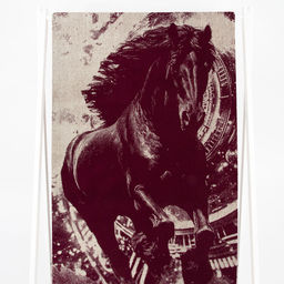 Полотенце махровое 6с102.411ж1 Бег времени (кр.дерево1) 67х150см