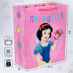 Пакет подарочный «Прекрасной принцессе», 40×49×19 см, упаковка, Принцессы