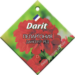 Пеларгония Дансер Ред F2 4шт. (Дарит)